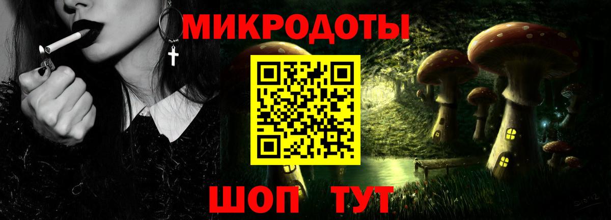 Тула  Псилоцибиновые грибы Psilocybe  Вход с VPN 